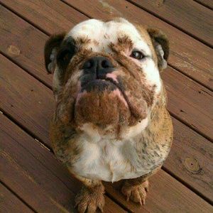 Meet your Posher, Gina